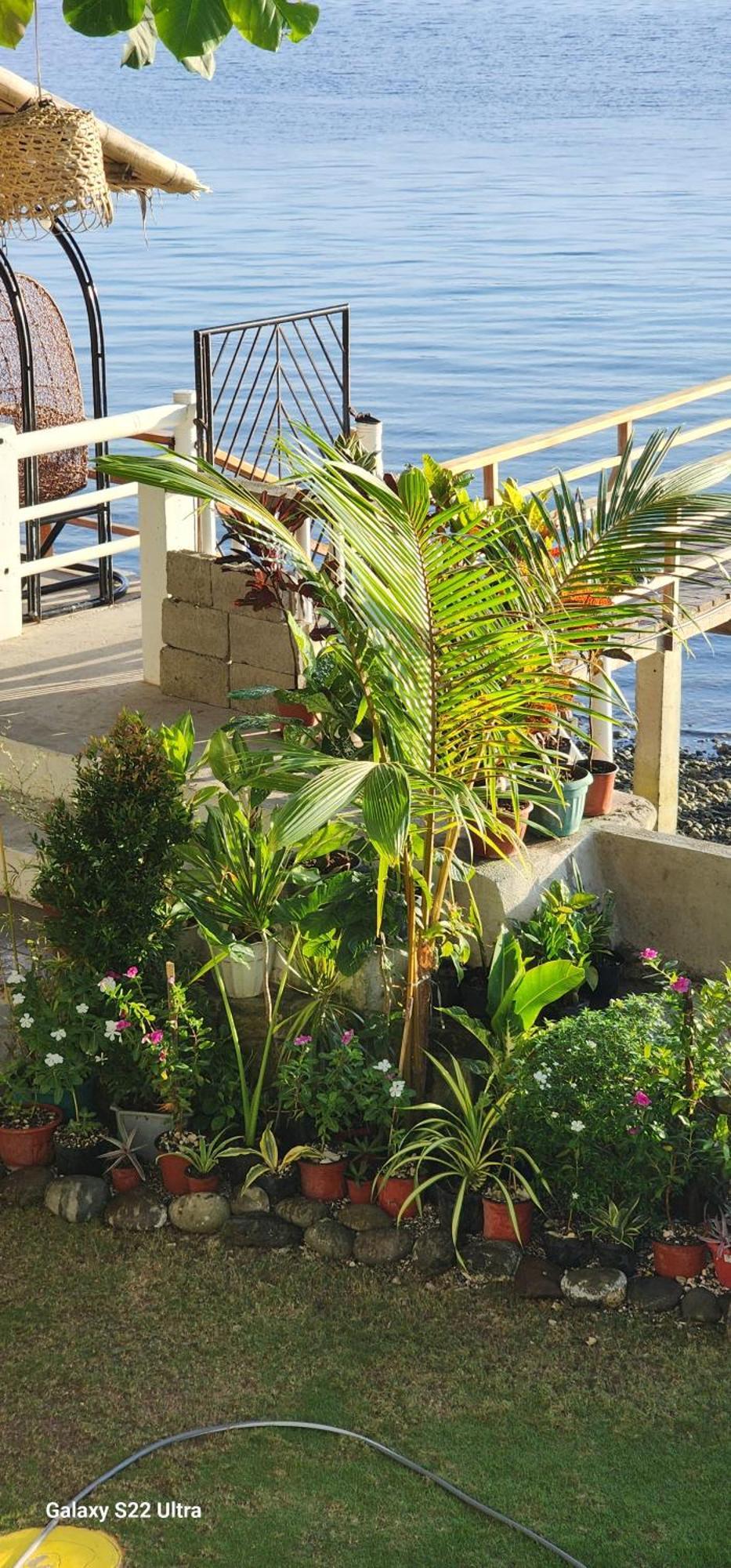 Chue&Larry'S Beachside Homestay Libagon Dış mekan fotoğraf